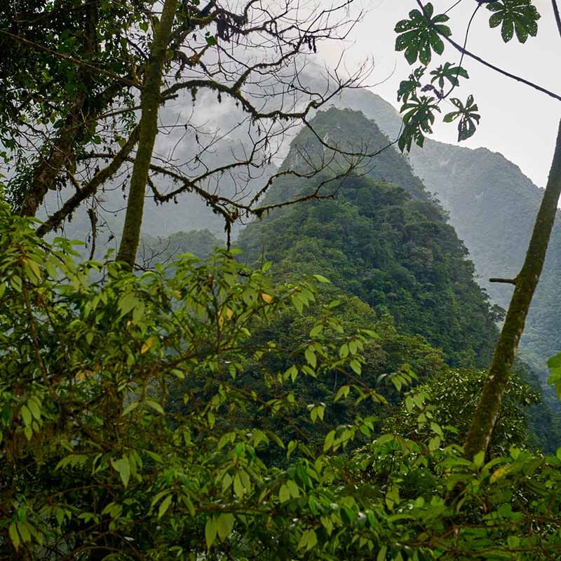 tour yanachaga chemillen