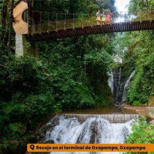 4d/3n Amigable Selva