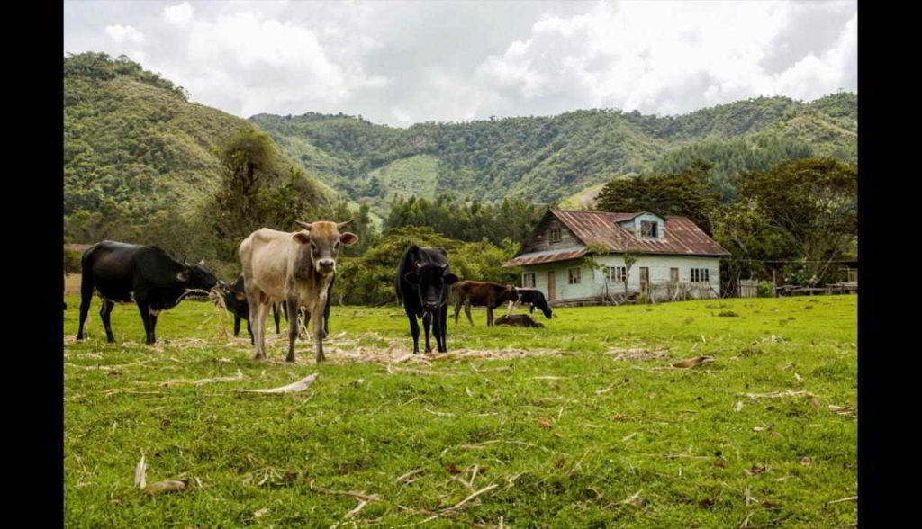 10 atractivos en oxapampa 1