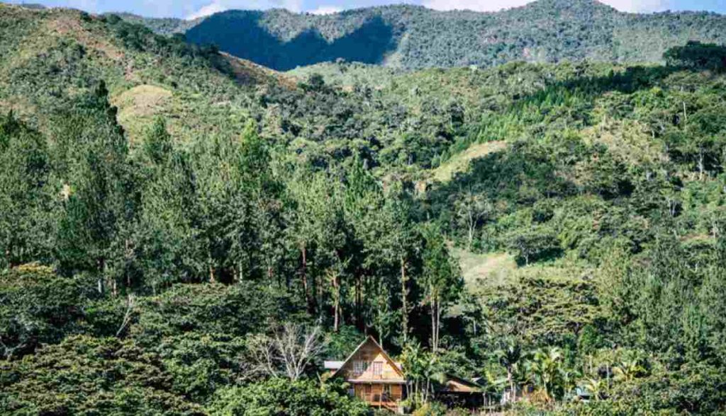 10 atractivos en oxapampa 2