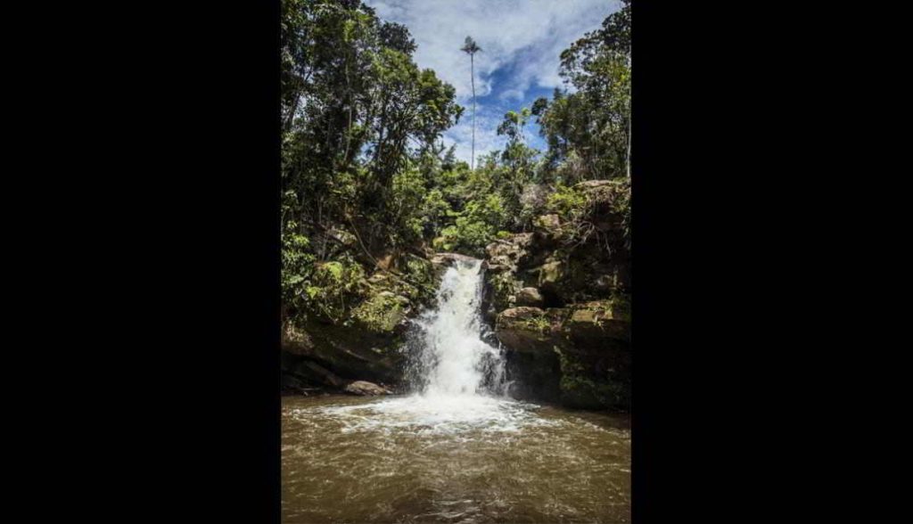 Cascada El León en el distrito de Villa Rica Oxapampa.