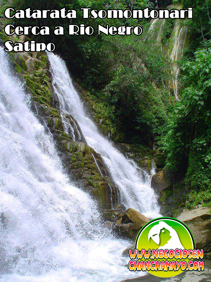 11 tsomontonari satipo Catarata Tsomontonari en Satipo.