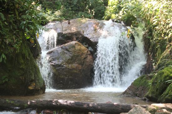 catarata del tirol Sendero turístico hacia la Catarata El Tirol en Chanchamayo.