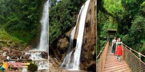 catarataselvacentral