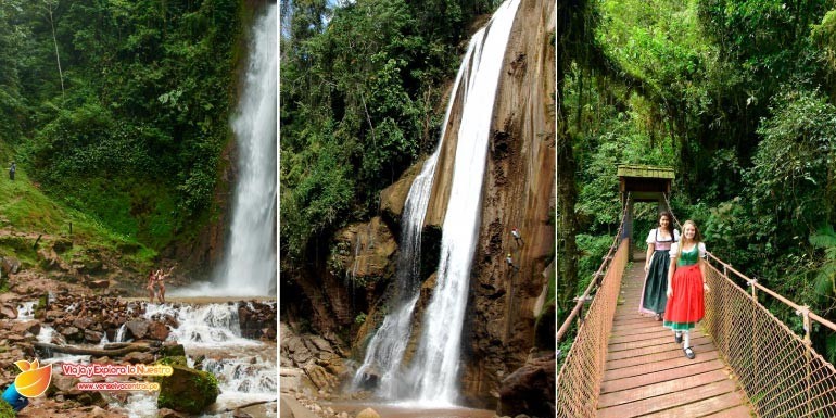 catarataselvacentral