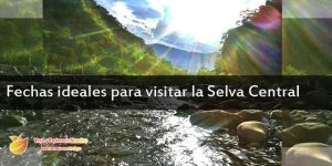 fechasidealvisita