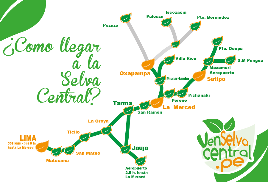 llegar selva llegar selva