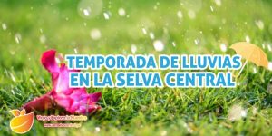 lluvias selva central