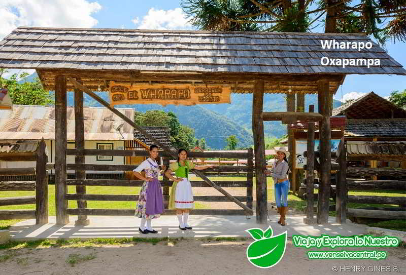 Trapiche Wharapo producción de caña en Oxapampa.